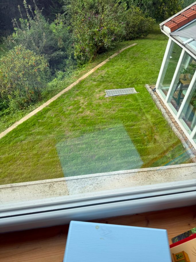 Neu angelegte Rasenfläche nach Lichtschacht-Austausch in Bad Oeynhausen.